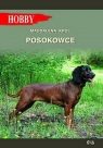 Posokowce Król Magdalena