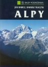 Alpy