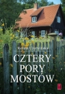 Cztery pory mostów Renata Czerwińska