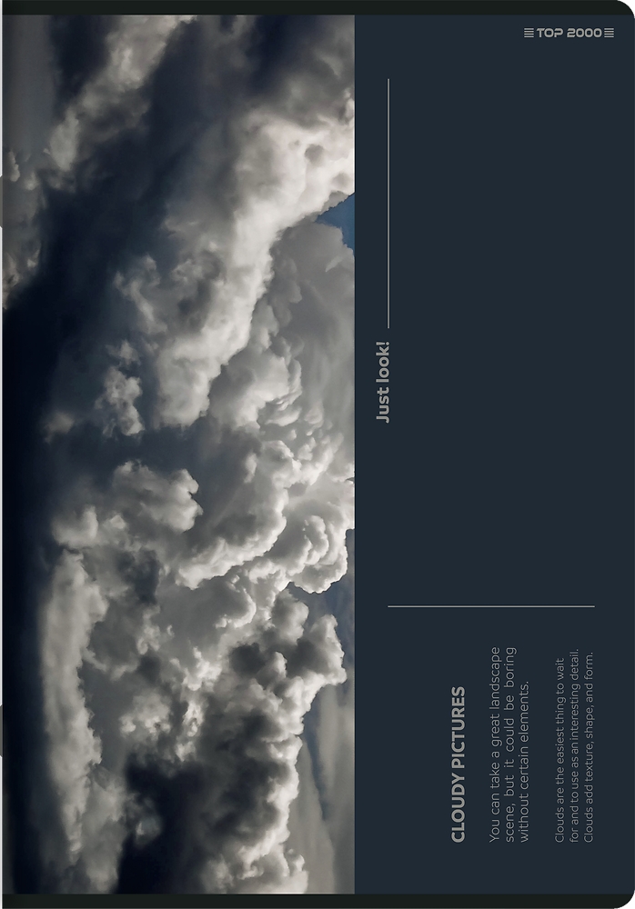 Zeszyt Top 2000 Bird's Eye A5/96k kratka z marginesem, 1 szt
