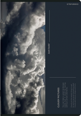 Zeszyt Top 2000 Bird's Eye A5/96k kratka z marginesem, 1 szt