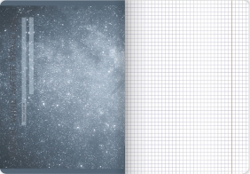 Zeszyt Top 2000 Bird's Eye A5/96k kratka z marginesem, 1 szt