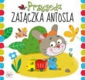 Przygoda zajączka Antosia - Anna Podgórska