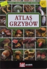 Atlas grzybów Wiesław Kamiński