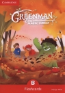 Greenman and the Magic Forest B Flashcards Miller Marilyn