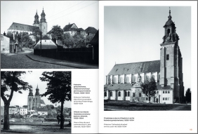 Stolice Polski. Gniezno - Michał Bogacki