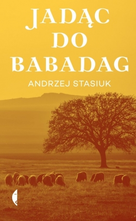 Jadąc do Babadag - Stasiuk Andrzej