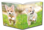 Notes Szczeniak Corgi - <br />