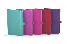 Notes OXFORD Signature 80k w kratkę (100735209)