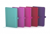 Notes OXFORD Signature 80k w kratkę (100735209)
