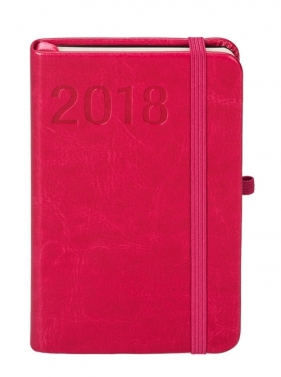 Kalendarz 2018 Formalizm A6 Tdw Malinowy