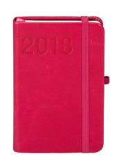 Kalendarz 2018 Formalizm A6 Tdw Malinowy