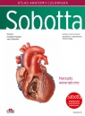  Atlas anatomii człowieka Sobotta. Angielskie mianownictwo. Tom 2. Narządy