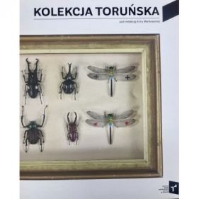 Kolekcja Toruńska Zbiory Centrum Sztuki Współczesnej Znaki Czasu w Toruniu - Opracowanie zbiorowe