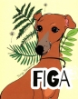 Figa - Kinga Konieczny