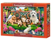 Puzzle 1000: Pets in the Park