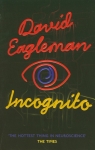 Incognito David Eagleman