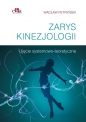 Zarys kinezjologii - Włodzimierz Petryński