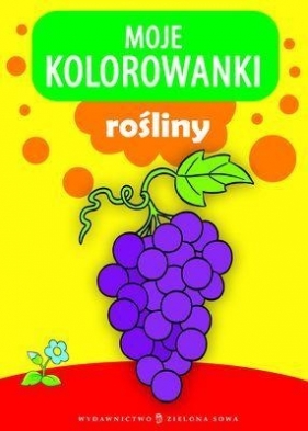 Moje kolorowanki Rośliny - Opracowanie zbiorowe