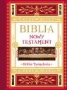 Biblia. Nowy Testament. Tekst – komentarz – ilustracje