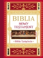 Biblia. Nowy Testament. Tekst – komentarz – ilustracje