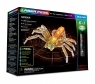 6 in 1 Spider (61015)