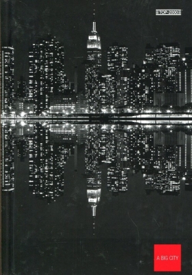 Brulion A5 Top-2000 w kratkę 96 kartek New York
