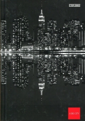 Brulion A5 Top-2000 w kratkę 96 kartek New York