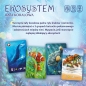 Ekosystem 2 – Rafa koralowa - Simpson Matt