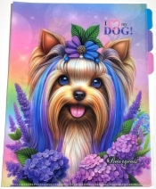 Teczka A4+ plastik 3 przegródki koszulka L Piesek