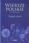 Wiersze polskie po 1918 roku Pogoda ziemi  Sendecki Marcin