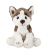 Pies Husky