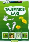 Tajemnice łąki