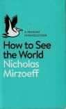 How to See the World  Mirzoeff Nicholas
