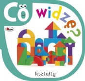 Co widzę Kształty - Piotr Kozera
