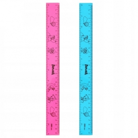 Linijka 30cm Explora, 1 szt