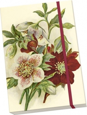 Notatnik ozdobny A5 STNOTE 141 Ciemiernik