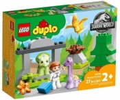 Lego Duplo 10938, Dinozaurowa szkółka