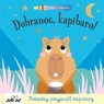 Dobranoc, kapibaro! (seria z latarką) Katie Button
