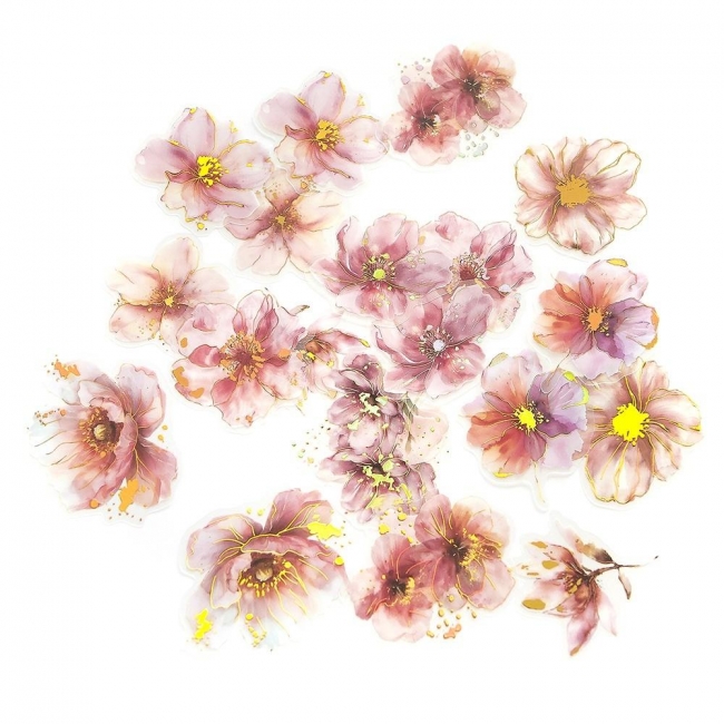 <img src='https://webimage.pl/pics/411/5/d5907590025411.jpg'>