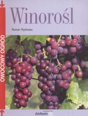Winorośl