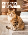 City Cats of Istanbul Marcel Heijnen