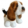  Basset siedzący 30cm