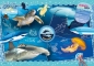 Puzzle National Geographic Kids 104: Giants of the Deep (27141)