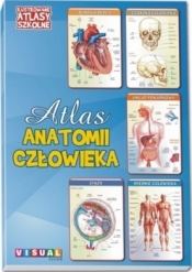 Atlas anatomii człowieka - Praca zbiorowa