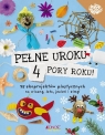 Pełne uroku 4 pory roku. 25 ekoprojektów plastycznych na wiosnę, lato, jesień i zimę!