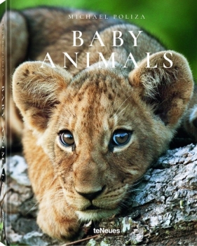 Baby Animals - Michael Poliza