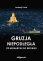 Gruzja niepodległa - Andrzej Furier