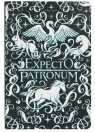 Harry Potter Notatnik A5 linia Expecto Patronum