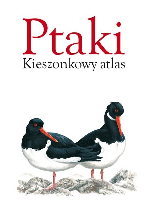 Ptaki Kieszonkowy atlas